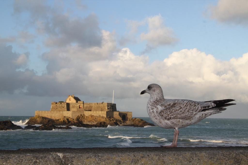 Hotel Des Abers Saint-Malo Zewnętrze zdjęcie